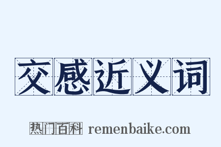 交感近义词是什么意思的图片